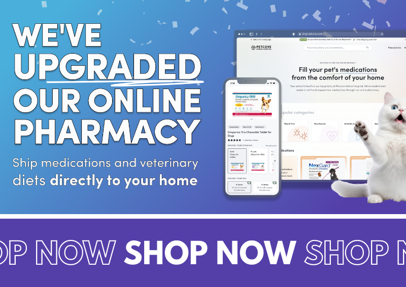Carousel Slide 1: Visit our online pharmacy >